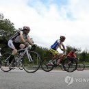 대관령 이미지