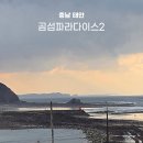 곰섬파라다이스2 이미지