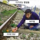 원피씨 | 귀엽게 살자 (결혼식후기, 호이테스냅, 부자영김밥, 덕후선생,영동족발,된장박이삼겹살,네일서월...