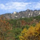 용화산마트