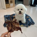 아우어패밀리 이미지