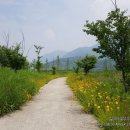 달무리수변공원B 이미지