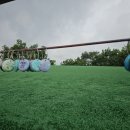 호명해와달 이미지