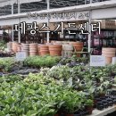 애터미(금정최고센터) | 부산 화훼단지 도매 화분 맛집 금정구 데팡스 가든센터 초보 식집사