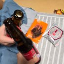 안면독스애견펜션 이미지