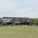 과천 서울 대공원 동물원 유모차 주차 팁 아이랑 주말 나들이