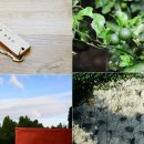 수목원해변펜션 이미지