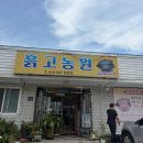 신기농원 | [🐷내돈내산🐷] 용원CC 근처 맛집 "흙고농원" 솔직 후기