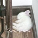 유천초등학교 | [251020-251026]