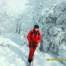1박2일 이미지