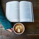 책과비디오산책 이미지