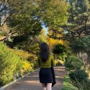 바이그루밍 | 창원 도계동 미용실 그루밍바이지아 내돈내산 방문 후기