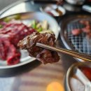 쌍둥이네고추 | 한성대입구 맛집 쌍둥이네안창살 방문 솔직후기｜야장 감성에 안창살·돼지뽈따구 찐맛집, 소주 부르는 집