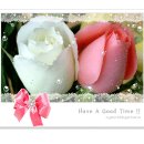 문숙농장 이미지