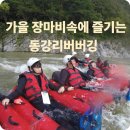 동강자연속으로 | 가을 장마비 속, 짜릿했던 동강리버버깅 단체 워크숍 후기