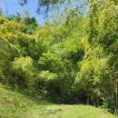 클라우드힐 이미지