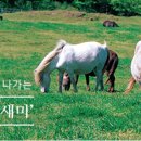 법인착한푸드 이미지