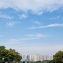 꽃진자리 | [꽃축제] 일산호수공원 가을꽃축제, '꽃과 웰빙(Flower&Wellbeing)'으로 물드는 가을 정원!
