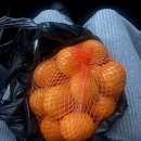 여운길농장 | 겨울제주 먹방여행일기,, 1223