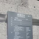 부산 남포동 자갈치축제 방문 + 회센터 이용후기 (대양상회, 초장집 포항횟집)