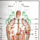 나르자워킹화 - 관악구 양녕로 25 | 나르자워킹화