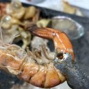 엑스포 삼포차 네이버블로그