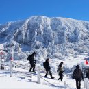 한라산 - 제주시 | 한라산