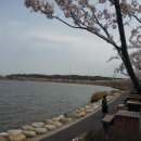 경포호수 4 이미지