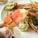 머구리횟집 - 10047 | 속초 대포항 대게 맛집 머구리횟집 대게회세트 후기 ft 카시아 속초 바로옆