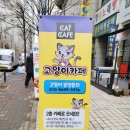 사바나 코쉬카 이미지