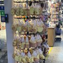 큰손묵집 이미지