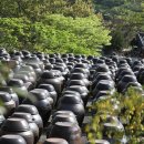 양산 가볼만한곳 추천명소 10곳 이미지