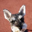 함께오래동물병원 이미지