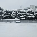 장모님주유소 이미지