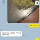 여름에올리는겨울도쿄여행