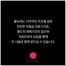 미소가인 이미지