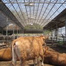 음성농장 이미지