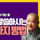 |성열스님의 아함경| 14. 무주상보시-인색한 사람은 베풂이라는 즐거움이 있을 수 없다 이미지