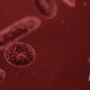 (주)프로디젠 이미지