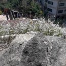 화곡로4길 이미지