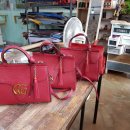 엠에스(MS) 이미지