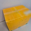 멋쟁이 | 아기셀프촬영 툴리툴리 멋쟁이토마토 컨셉 촬영후기