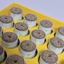 이오메디칼 이미지