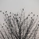 승민농장 이미지