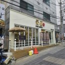 꽃삼(시립) 이미지