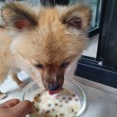 최정언산양목장 이미지