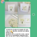 쁘띠프랑 | 본식 부케 압화액자 제작 [리리프랑] 후기💐