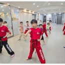 태양태권도장 이미지