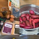 베버리 독스 이미지