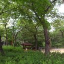 원터근린공원 이미지